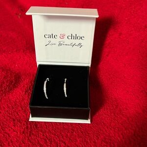 Cate & Chloe Bianca 18k White Gold Drop Dangle Hoop Earrings With Gift Box NEW